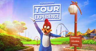Tour Experience Tour Experience