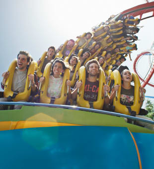 imagen5